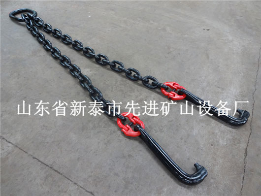 �c���鿴Ԕ����Ϣ���}��Customized non-standard lifting chain ��x�Δ�(sh��)��2781